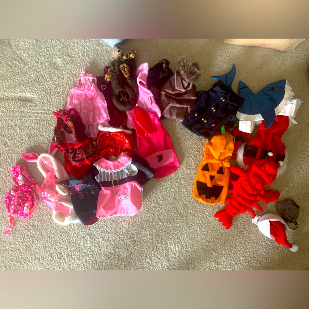 Bundle of XS dog clothes